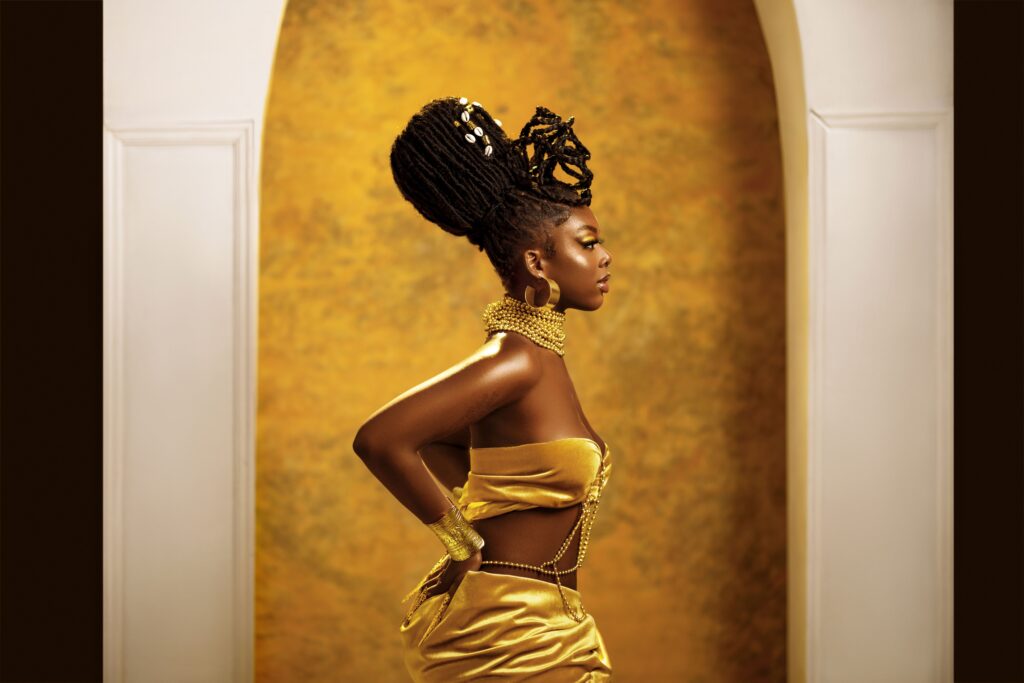 African hair braiding history traditional braids Abeeba Newark NJ